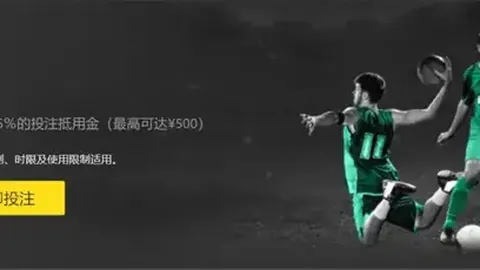 贵宾眼中“冰城”非遗之旅：携手探索国际外交新篇章